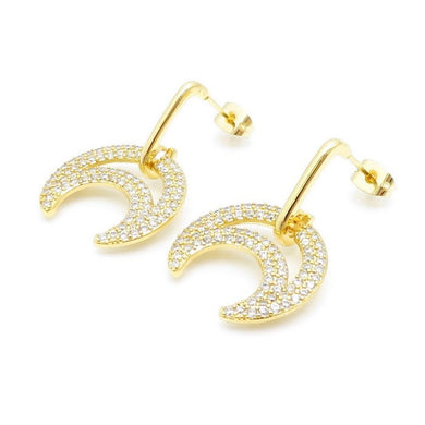 Classy Earrings